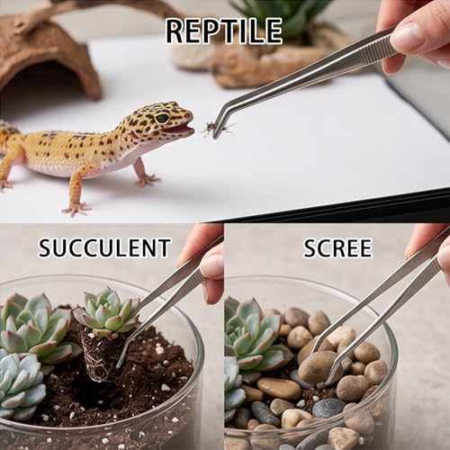 2-in-1 Bonsai Tweezers Set - 8.8" Stainless Steel Long Plant Tweezers with Rake & Spatula Tips, Straight + Curved Tools for Bonsai, Succulents & Terrariums
