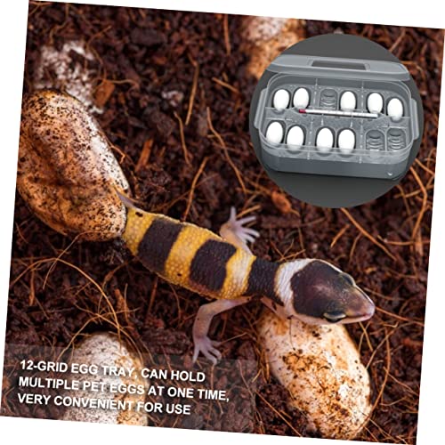 Reptile Hatching Incubation Box for Lizards Two Design for Eggs Hatching Container for Scientific Research and Boys and Girls Curiosity Lightweight and