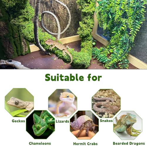 BNOSDM Reptile Plants,Flexible Rainforest Vines with Moss,Bendable Jungle Climbing Vines,Terrarium Artificial Plants Decor for Bearded Dragon,Hermit Crab,Snake,Geckos,Chameleon,Lizard - size: 3Pcs | Style: 43in Rainforest Vines