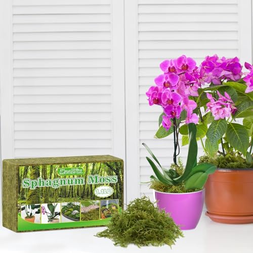 Sphagnum Moss 4.4 LB Long Fiber Green Forest Moss | Ideal for Repotting Orchids, Succulents, and Indoor Plants. Natural Sphagnum Retains Moisture, Improves Root Aeration - size: 4.4 LB
