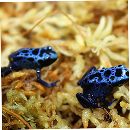 Sphagnum Moss Dried Spagnum Dry Moss for Reptiles Bedding and Terrarium Pet Supplies Sphagnum Moss for Plants Sphagnum Moss for Reptiles 150g