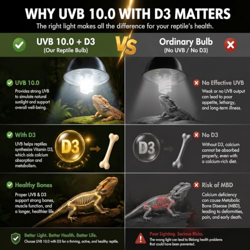 Reptile UVB Bulbs, 26W 10.0 UVA UVB Light Lamp for Terrarium, 2 Pack | Fits Bearded Dragon, Lizard, Tortoises, Iguanas, Chameleons, Snakes