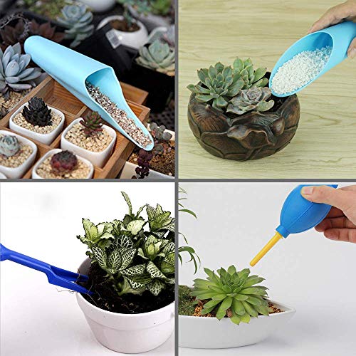 SONGZIMING 15 Pcs Succulent Plant Tools Set | Mini Garden Planting Watering Tool Kit for Succulent Miniature Gardening Plant Care