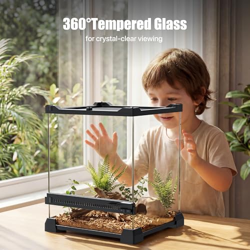 3 Gallon Fully Assembled Glass Reptile Enclosure, 8"x 8" x 12" | Tall Vertical Front-Opening Small Terrarium Tank for Hatchling & Juvenile Arboreal Reptiles & Amphibians - size: 8"Lx8"Wx12"H