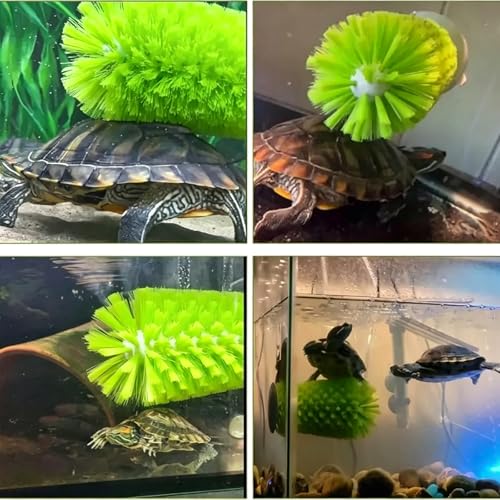 Turtle Tank Accessories 4-Piece Set, Turtle Tank Decor and Turtle Brush for Daily Feeding and Shell Cleaning