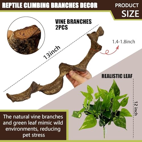 BNOSDM 2PCS Natural Reptile Climbing Branches Decor,1.3-1.8" Thick Natural Snake Climbing Forest Wood with Plant Leaf Decor,Lizard Forest Branch,Geckos Tank Tree Trunk Accessories for Bearded Dragons - size: 2PCS|M:1.25-1.75"T,13"H