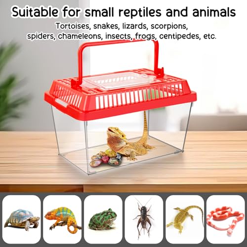 12Pcs Plastic Reptile Terrariums Carrier Cage, Tarantula Enclosure Breeding Box Hatching Container Transparent Fish Tank Turtle Aquarium with Random Color Lid for Lizards, XL(10.6" x 6.7" x 5.9") - size: XL