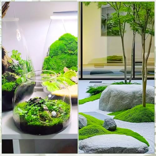 Artificial Moss for Crafts, 10.6OZ Fake Green Moss for Potted Plants, DIY Decorative, Walls,Table Centerpieces Decor Fairy Garden Model Making (300g) - color: Light Green, size: 10.6 oz