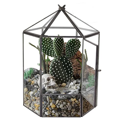 ELEGANTLIFE Glass Geometric Plant Terrarium,Succulent & Air Planter for Home Garden Office Decoration,No Plants(Black Hexagonal) - color: Black Hexagonal