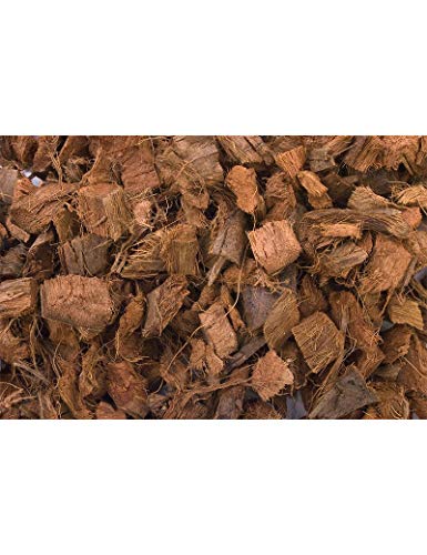 T-Rex Reptile Terrarium Substrate - Coconut Bark (4qt)