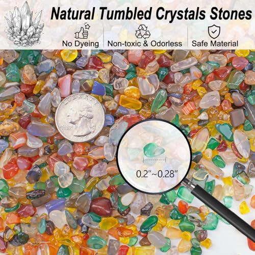 Colorful Agate Crushed Stone Crystal Chips Bulk Irregular Shaped Aquarium Decor Rocks Gravel Pebbles Stones Polished Tumbled for Crafts|Fish Turtle Tank|Home Decoration - 0.88 Lbs - color: Multicolor Agate, size: 0.88 LB