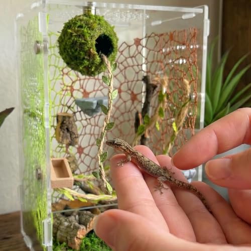 Jumping Spider Enclosure Accessories Kit - Magnetic Moss Ball Hideout, 2 Rock Ledges, Feeding Bowl, Climbing Mesh Nets & Rope Ladder - Natural Forest Habitat Decor for Regal (Moss Cave with Rope) - size: Moss Cave with Rope