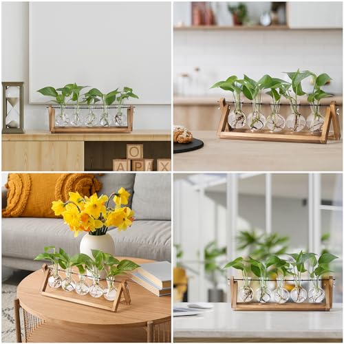 YIBOT Plant Propagation Stations with Wooden Stand & 5 Glass Bulb Vases | Tabletop Plant Terrarium for Propagating Hydroponic, Retro Glass Planter Flower Vase Home Kitchen Office Decor Gifts - size: 5Bulb-A
