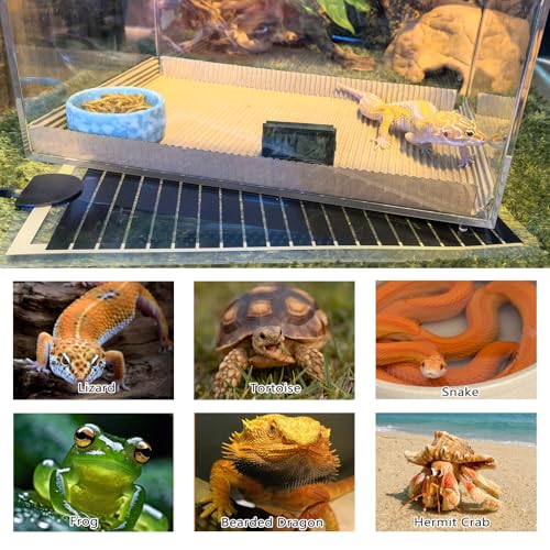 Hamiledyi Reptile Heat Pad Heating Pad Under Tank Hermit Crab Heater Hygrometer Thermometer Heat Mat for Lizard Snake Gecko Turtle Frog Spiders (14W)