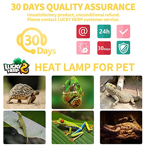LUCKY HERP New Upgrade 3 Pack 100W Reptile Heat Lamp Bulb (3nd Gen, Safer), Amphibian UVA Heat Light Bulb, Reptile Basking Daylight Spot Lamp Bulb for Bearded Dragon, Lizard, Tortoise Heating Use - size: 100*3