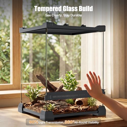 6 Gallon Fully Assembled Glass Reptile Enclosure,10"x 10" x 14" | Front Opening Tall Reptile Terrarium Tank for Baby Crested Geckos, Tree Frogs, Praying Mantises, Jumping Spiders - size: 10"L x 10"W x 14"H