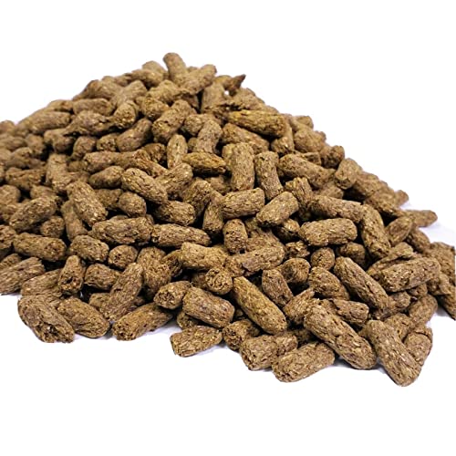 Tortoise Pellet Food, Low Starch High Fiber Diet for Sulcata, Leopard, Yellow-Footed, Desert, African Spurred for All Tortoise.…1-lb & 8oz Med Jar