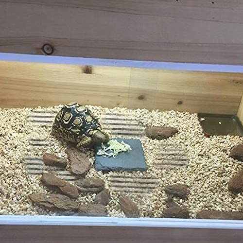 Reptile Heat Pad, Adjustable Temperature Control Lizard Terrarium Heating Mat for Small Animals Snake Turtle Bearded Dragon Gecko and Plant (5W) - size: 5W