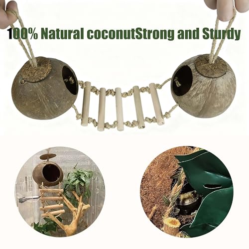10PCS Crested Gecko Tank Accessories Set – Natural Double Coconut Shell with Ladder, Plants and Bridge Vines for Reptile Terrarium, Leopard Gecko, Lizard, Hermit Crab or Snake Habitat Decor - color: Double coconut shell