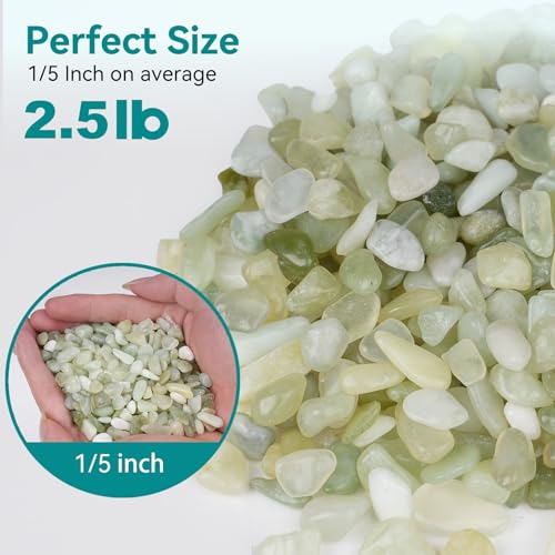 2.5 lbs Jade Pebbles for Indoor Plants, 1/5 Inch Succulent and Cactus Pebbles, Decorative Gravel for Vases, Bamboo,Terrarium, Crafts, Cactus - color: Jade