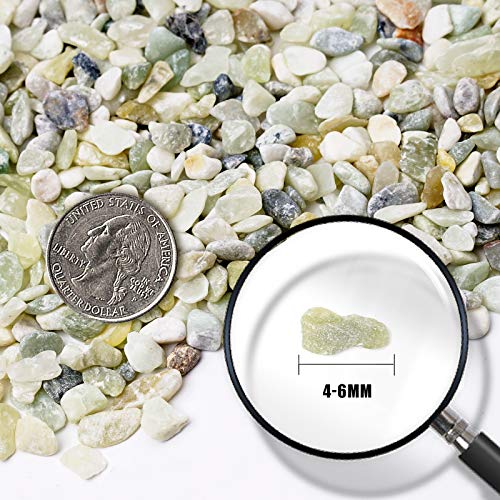 Succulent and Cactus Bonsai DIY Rocks, Jade Bean Pebbles, Natural Decorative Polished Stones Vase Fillers Gravel for Plants,Terrarium, Fairy Gardening, Indoor Outdoor Decor Ornamental Stones.