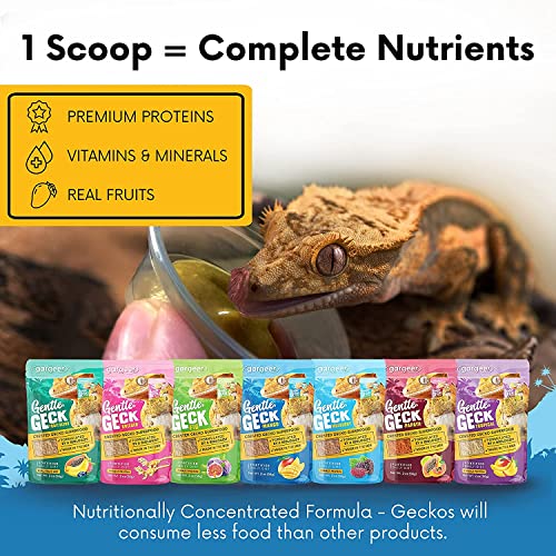 Gargeer 8oz Gentle Geck Mango Diet - Crested Gecko Food. Made in USA | Drive picky geckos wild! A irresistible organic mango superfood blend loaded with gut-safe probiotics and antioxidants - size: 8 Ounce (Pack of 1)
