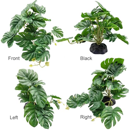 Reptile Plants for Bearded Dragon Tank Accessories, Terrarium Decor | Artificial Fake Plants, For Bearded Dragon, For Leopard Gecko, For Snake, For Crested & Ball Python Tank - color: Monstera Leaf + Base