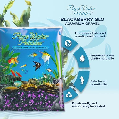 Blakberry Glo Aquarium Gravel - 5 lbs - Non-Toxic, Colorfast, Vibrant Substrate for Aquariums, Terrariums, Ponds & Crafts - color: BlackBerry Glo, size: 5 lb (Pack of 1)