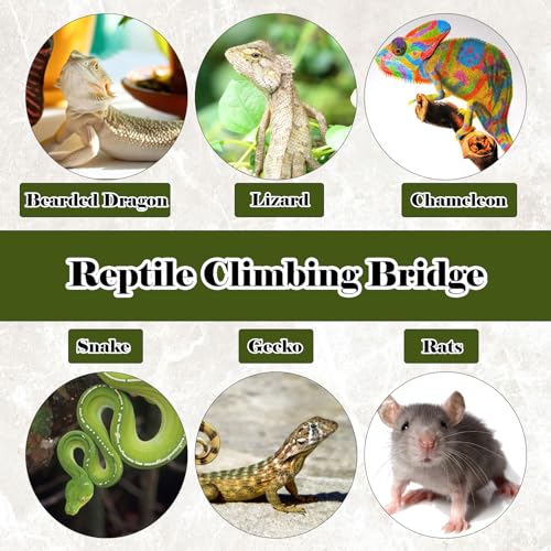 Reptile Bamboo Climbing Bridge,Lizard Ladder Hammock Bridge Bearded Dragon Hanging Bamboo Ladder Lounger Lizard Hammock Terrarium Vines Decor Reptile Habitat Tank Accessories for Chameleon Gecko - style: M【12.0 x 6.1 In】