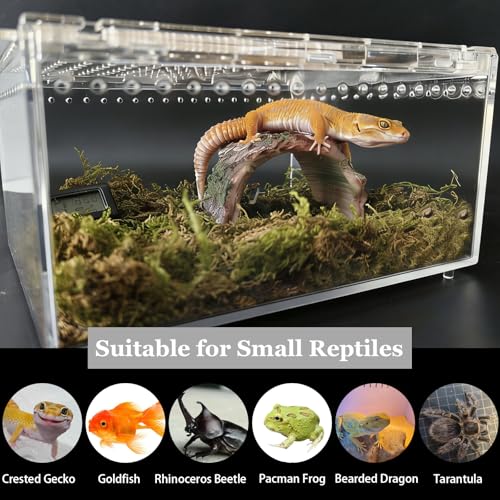Reptile Terrarium Kit Small Gecko Tank Tarantula Isopods Insect Enclosure | Hermit Crab Tank,Acrylic,Box Packaging,with Moss Bottle Stands Tweezer Thermometer Hideout Food Bowl,for Frog Scorpion