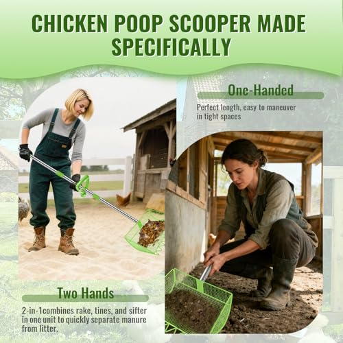 2-in-1 Chicken Coop Scooper: Extra Large 12” Poop Scooper & Rake with Adjustable Handle (37”-65”) | Heavy-Duty Metal Shovel for Quick Pet Waste, Rabbit, Guinea, Barn Cleaning | US Patent Pending,Green - color: Green