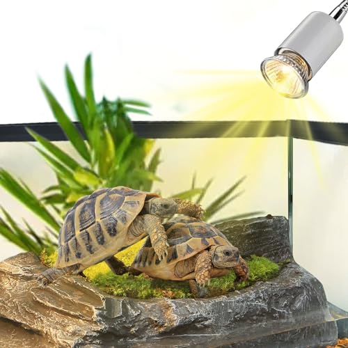 Reptile Heat Lamp,UVA UVB Reptile Light with 360°Rotatable Hose and Timed with 2 Bulbs(25W,50W),Basking Calcium Light Heat Lamp Bulbs for Turtle,Bearded Dragon,Lizard,Snake Tank(White) - color: White