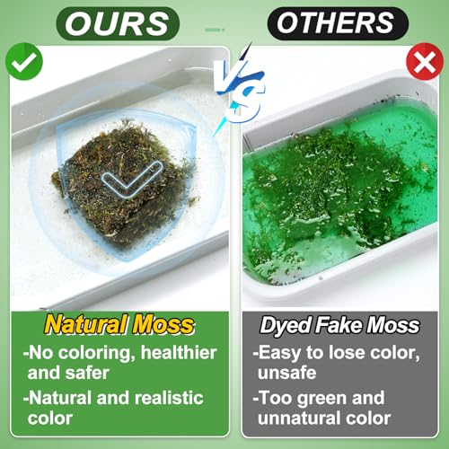 10oz Natural Green Moss for Crafts Beginners - Starter Moss for Plants Indoor, Artificial Fairy Gardens, Mini Mosswall, Glass Terrariums, Filling Fake Plants, Home Decoration - color: 10 Oz
