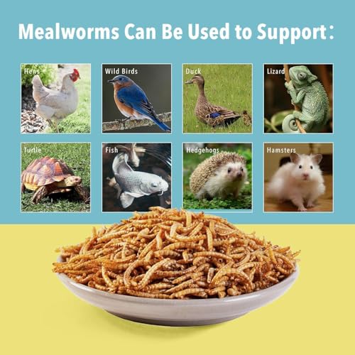 WormsFarm 5lb Dried Mealworms for Chickens Treats for Laying hens,Bluebirds,Quail,Chicken Food | treats for laying hens,blue birds - size: 5 Pound (Pack of 1)