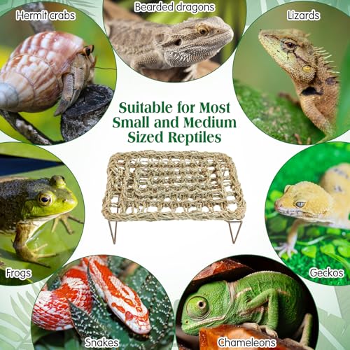 kathson Bearded Dragon Hammock with Ladder, Seagrass Reptile Basking Hammock with Metal Legs, Adjustable Lizard Bed Tank Accessories Decor for Amphibian Gecko Snake Hermit Crab Chameleon Climbing