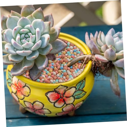 Toddmomy 2bags Ceramsite Stones for Plant Decoration for Hydroponic Gardening Air Purification and Root Aeration Flower Pots