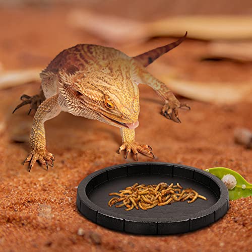 Totority Tortoise Feeding Bowls - 2-Pack Non-Slip Reptile Food Dishes with Smooth Edges, Plastic Pet Feeder for Turtles & Lizards Indoor/Outdoor Use