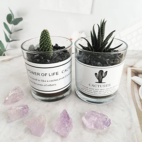 ZHIYUXI Obsidian Crystal Crystal Chips Fish Tank Gravel Vase Filler Stones Crushed Crystals Gemstone Polished Healing Crystals Natural Quartz Stone 0.44lbs - color: E# Obsidian, size: 0.44 Pound