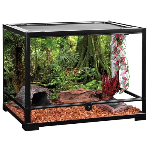 AWERT 48x24 inches Forest Terrarium Background Stone Green Huge Tree Reptile Habitat Background Tropical Rainforest Aquarium Background Durable Polyester Background - size: 48x24in/120x60cm