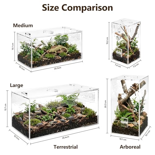 Jumping Spider Enclosure Set, Terrestrial Arboreal Combo, Acrylic Tarantula Terrarium, Praying Mantis Habitat, No Assembly, 2-Size Kit, Medium - size: Medium