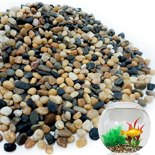 NUPICK 6 lb Aquarium Gravel, 1/4" Ph-Natural Pea Gravel for Fish Tank | Small River Rocks for Plants, Decorative Aquarium Pebbles for Vase, Landscaping, Succulent, Cactus, Terrarium,Bird Bath - size: 6 lb