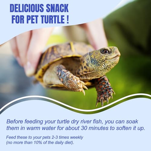 Amzey 3 Pack 0.8Oz (Total 2.4Oz or 68Gram Dried River Fish - Natural Food for Turtles, Terrapins, Reptiles and Large Tropical Fish - size: 0.8 Ounce (Pack of 3)