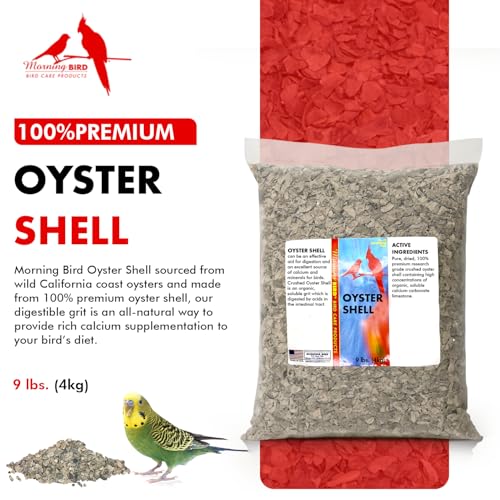 Morning Bird Oyster Shell 9 lb - Natural Calcium Supplement for Birds | Natural Calcium Bird Supplement – Sustainably Harvested from California Coastal Waters – Safe Year Round Bird Food Additive - size: 9 Pound (Pack of 1)