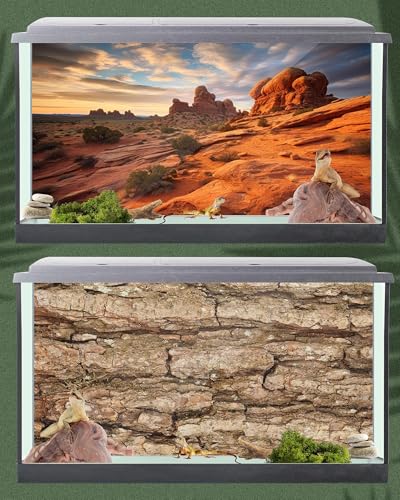 4 Pcs 4 x 2 ft/ 48 x 24'' Reptile Tank Background 55/75/90/120 Gallon Bearded Dragon Terrarium Background Decor Polyester Reptile Tank Accessories for Leopard Gecko, Crested Gecko, Tortoises - size: 48 x 24 Inch