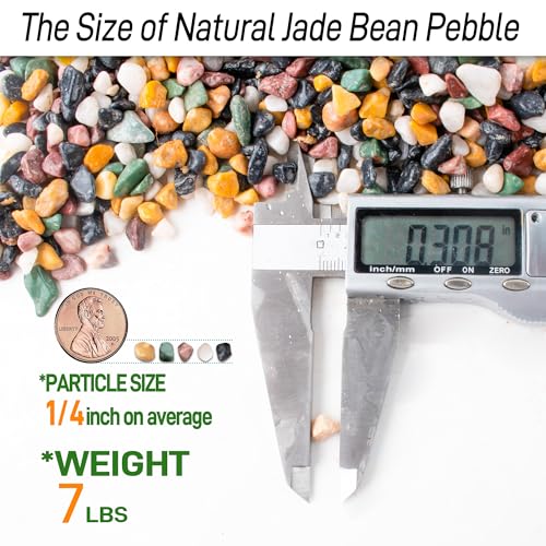 CJGQ 7lb Aquarium Gravel for Plants, 1/4Inch Fish Tank Gravel for Succulent Cactus and Bonsai, Decorative River Rocks Pebbles for Gardening, Flower Pots, Landscaping,Terrarium - color: Mixed Pebble, size: 7lb