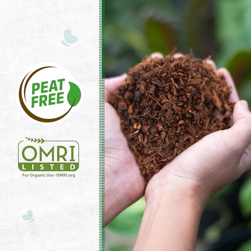 Back to the Roots 100% Organic Mulch, 58 Quart (2 Cubic ft), Expanding Coconut Husk Block for Gardening