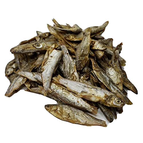 3"- 5" Fresh Water Freeze Dried Fish for Fish and Mammals …1-lb 12oz Lg Jar | Piranha, Large Fish, Turtles, Cats, Sugar Glider, Marmosets, Chinchillas, Squirrels, Hamsters - size: 28 Fl Oz (Pack of 1)