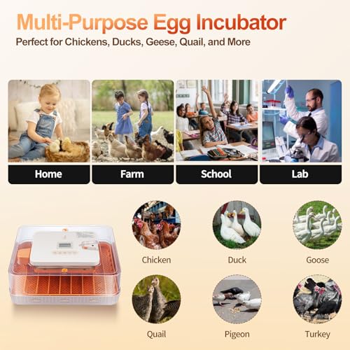 56 Egg Incubator, Fully Automatic Egg Turner & Humidity Control, High Hatch Rate Poultry Incubator with LED Candler, 360° View for Chicken, Duck, Quail Eggs – Beginner Friendly