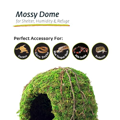 Galapagos (05366 Mossy Dome Hide, 6 in, Galápagos Green