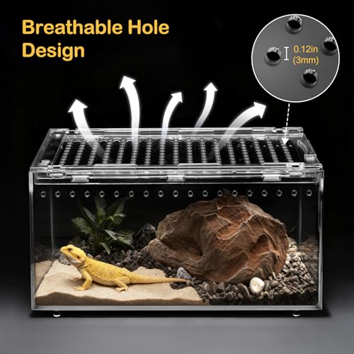 PC Large Reptile Terrarium Starter Kit,Magnetic Jumping Spider Enclosure,Hermit Crab Tank,Arboreal Tarantula Cage for Praying Mantis,Frog Vivarium